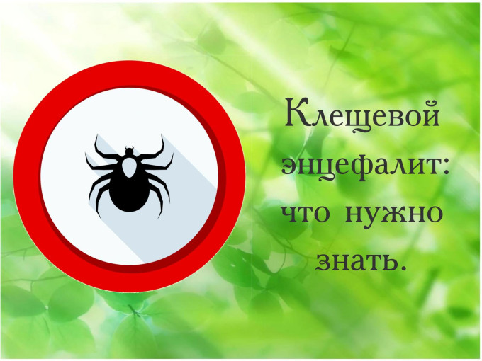 "О мерах профилактики клещевых инфекций" "О мерах профилактики клещевых инфекций".