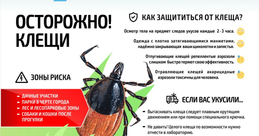 Иксодовый клещевой боррелиоз Иксодовый клещевой боррелиоз.